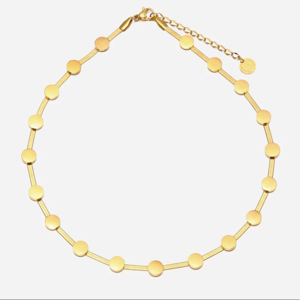 Nwt Victoria Emerson “Dana” necklace with circle on herringbone chain